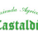 Dema Pubblicità-lavora con Azienda Agricola Castaldia